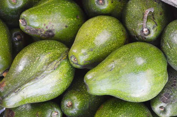 Aguacate — Foto de Stock