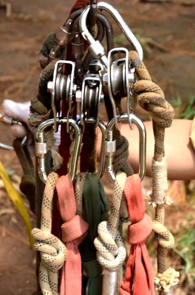 Carabinero — Foto de Stock