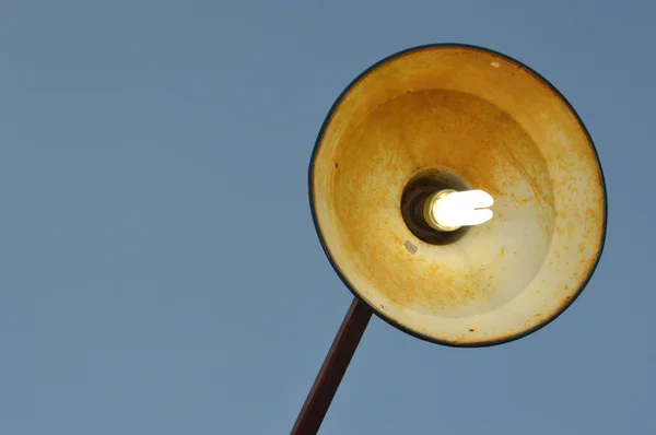 공원 빛의 기둥 — 스톡 사진