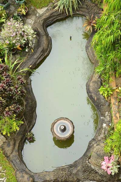 Rybník v parku — Stock fotografie