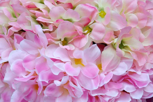 Ornamento de florais — Fotografia de Stock