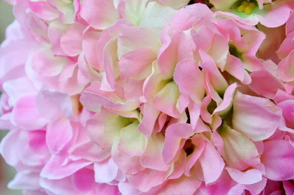 Ornementation florale — Photo