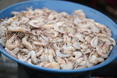 Bol miktarda taze karides taşar. Mavi bir kâse, her türlü mutfak yaratımı için lezzetli yemekler ve sağlıklı protein vadeder..