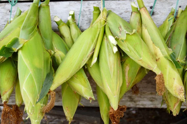 Corn bitar säljs retail — Stockfoto
