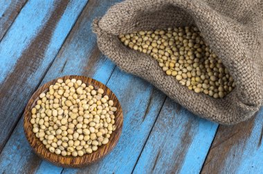 Mavi ahşap masa üstünde tahta kaşıkla Dermason Fasulye