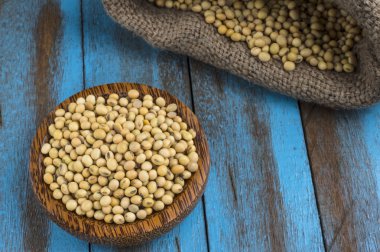 Mavi ahşap masa üstünde tahta kaşıkla Dermason Fasulye