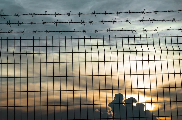 Iron wire fence — Stock Photo, Image