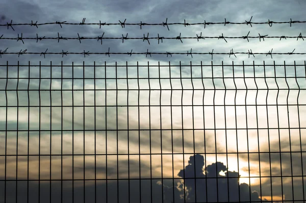 Iron wire fence — Stock Photo, Image