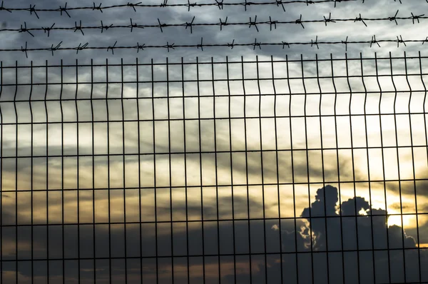 Iron wire fence — Stock Photo, Image