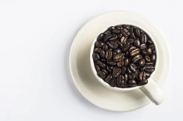 Kaffeebohnen Foto-Konzept — Stockfoto