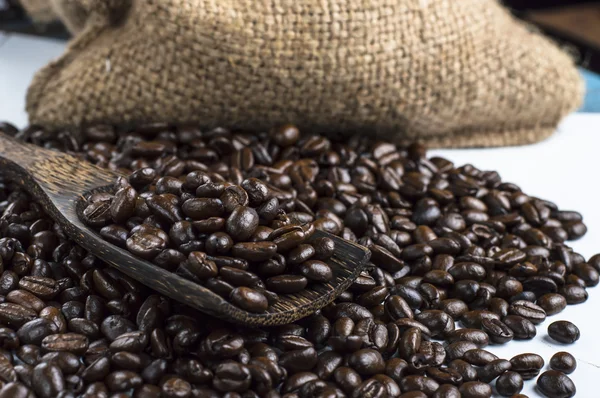 Kaffeebohnen Foto-Konzept — Stockfoto