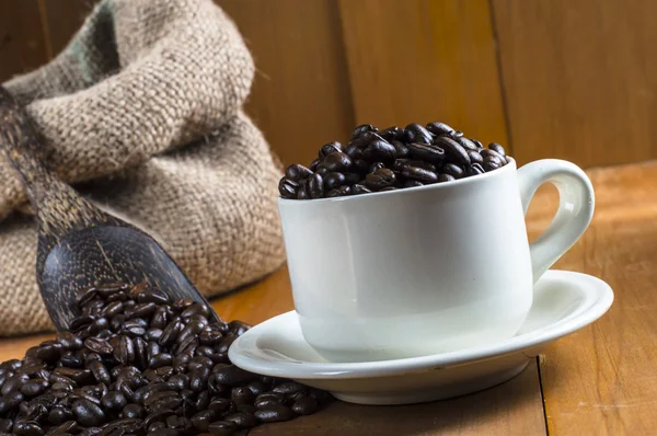 Coffee beans photo concept — Stock Photo, Image