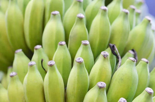 Een stelletje groene bananen. — Stockfoto