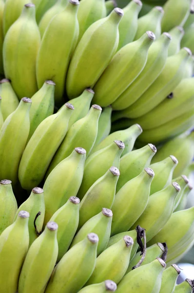 Een stelletje groene bananen. — Stockfoto