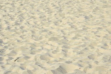 desen güneşli gün kum plaj