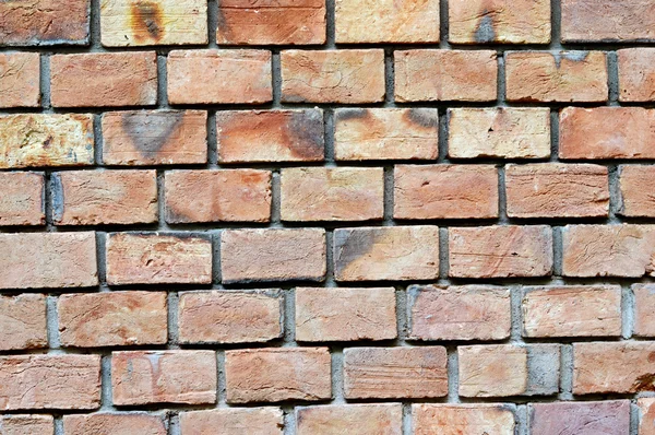 Textura detalhada paredes de tijolo fundo — Fotografia de Stock