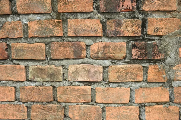자세한 텍스처 벽돌 벽 배경 — 스톡 사진