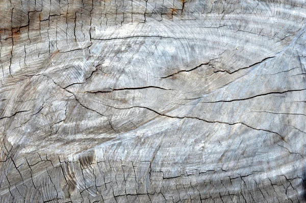 Texture dettagliata e sfondo del bordo di legno modello — Foto Stock