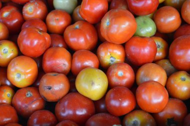 domates arka plan üzerinde detaylı şekli