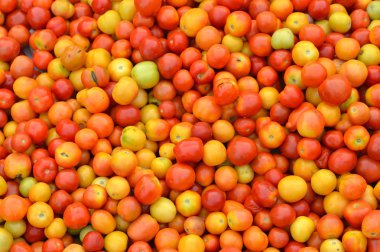 Mavi gökyüzü karşı Denizcilik bayrakları