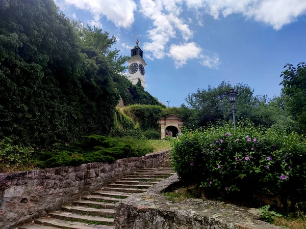 Novi Sad Daki Büyük Saat Kulesi Petrovaradin — Stok fotoğraf