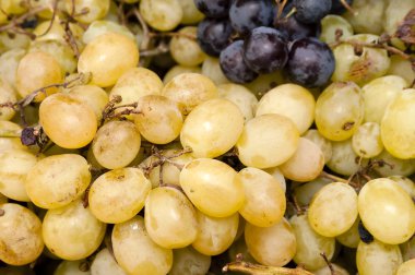 grapes Isolated on the white