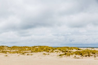 Sahildeki Okyanus Dalgaları