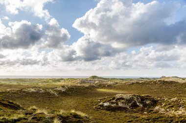 Sahildeki Okyanus Dalgaları