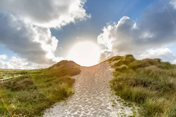 Caminho Através Das Dunas Ilha Sylt Pôr Sol — Fotografia de Stock