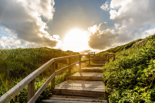 Weg Durch Die Dünen Auf Sylt Bei Sonnenuntergang — Stockfoto