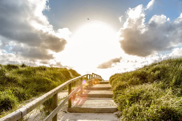 Caminho Através Das Dunas Ilha Sylt Pôr Sol — Fotografia de Stock