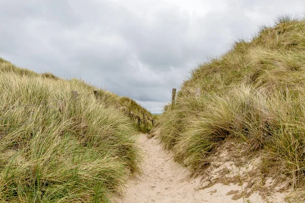 Caminho Através Das Dunas Ilha Sylt — Fotografia de Stock