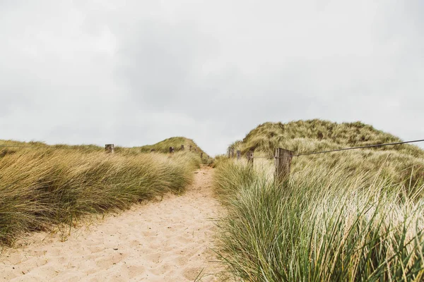 Caminho Através Das Dunas Ilha Sylt — Fotografia de Stock