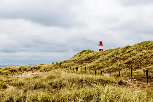 Sylt 'deki kumullarda deniz feneri.