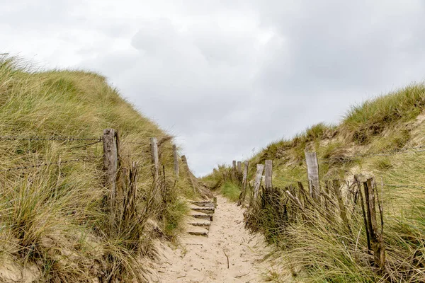 Caminho Através Das Dunas Ilha Sylt Fotografia De Stock