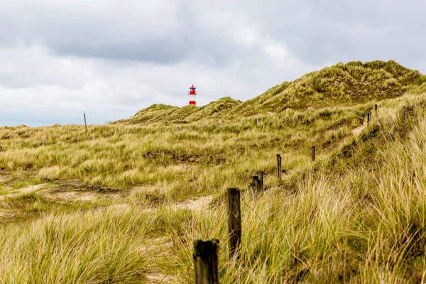 シルトの砂丘の灯台 ロイヤリティフリーのストック画像