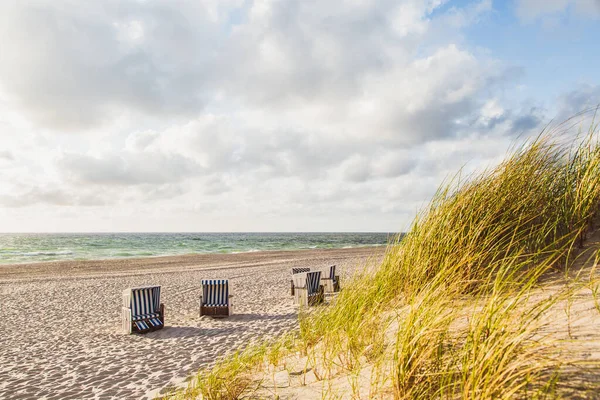 Veel Strandstoelen Het Strand — Stockfoto