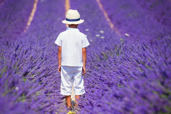 Carino ragazzo nei campi di lavanda — Foto Stock