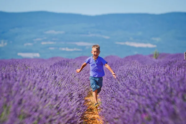 Menino em lavanda campo de verão — Fotografia de Stock