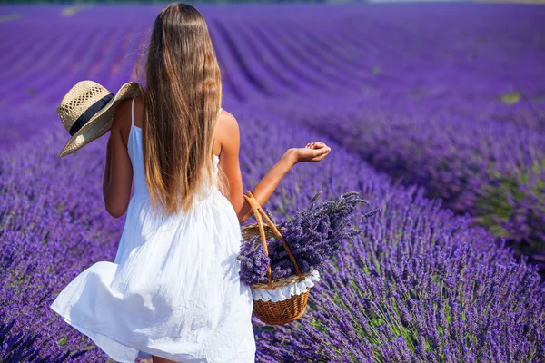 Young girl in the lavander fields — Stock Photo, Image