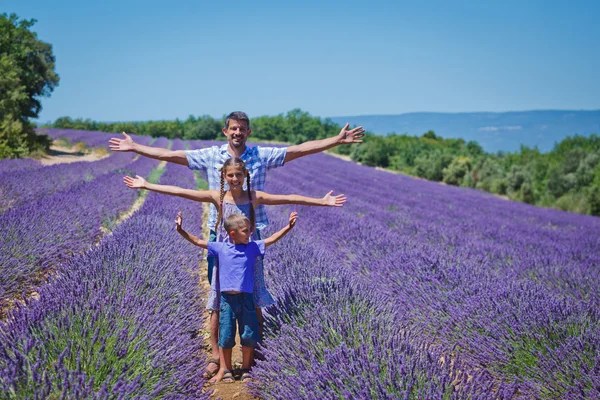 Aile bir lavanta alanda — Stok fotoğraf