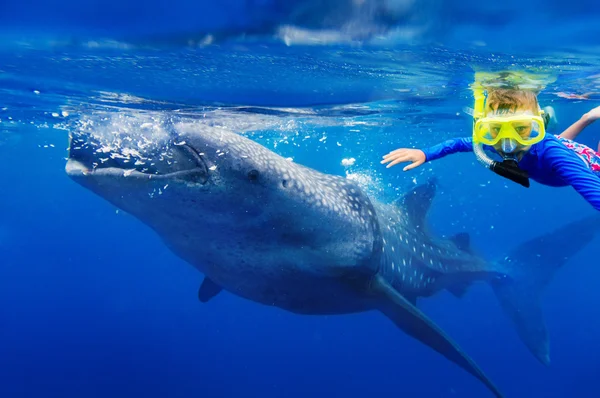Niño buceando con tiburón ballena — Foto de Stock