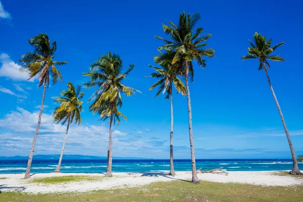 Tropikalna plaża i morze — Zdjęcie stockowe