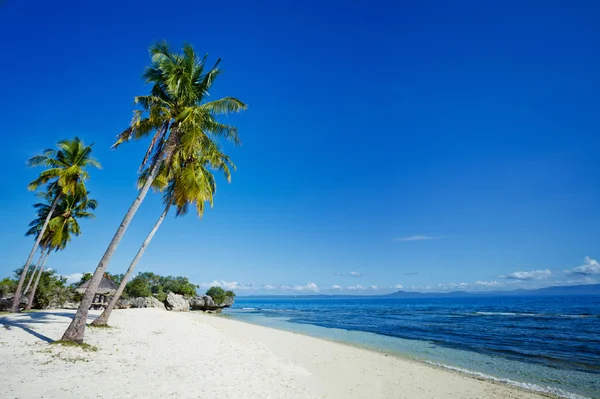 Tropical beach and sea — Stock Photo, Image