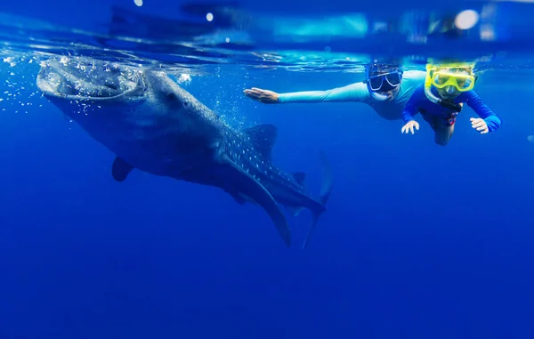 Jongen snorkelen met de walvishaai — Stockfoto