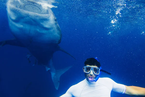 Homme plongée avec tuba requin baleine — Photo