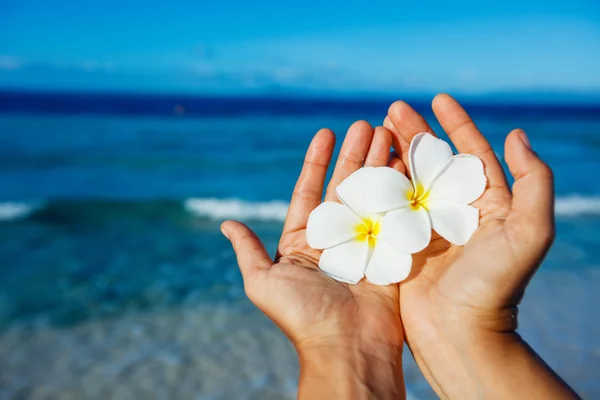 Plumeria květina v rukou nad vodou — Stock fotografie