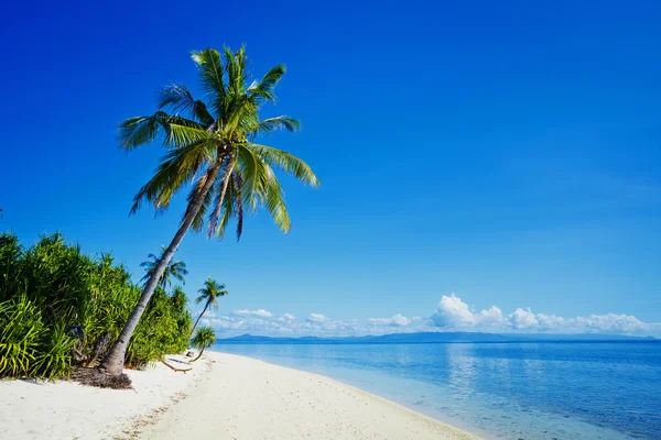 Tropical beach and sea — Stock Photo, Image