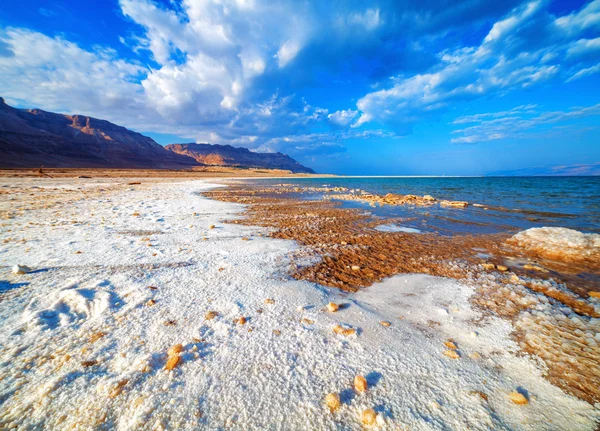Ölü Deniz sahil şeridi — Stok fotoğraf