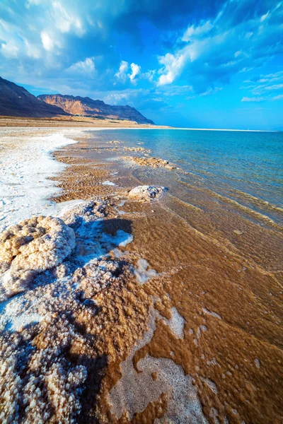 Береговая линия Мертвого моря — стоковое фото